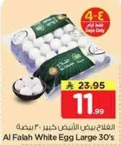 بيض ابيض كبير 30 بيضه