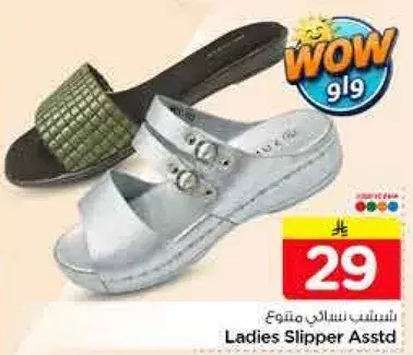 Ladies Slipper Assorted
