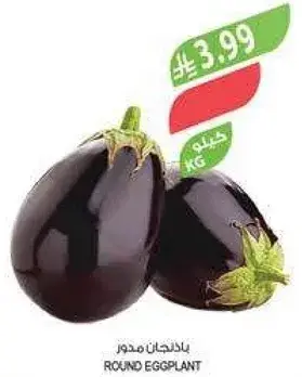 Round eggplant