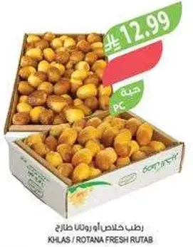 رطب خلاس او روتانا طازج