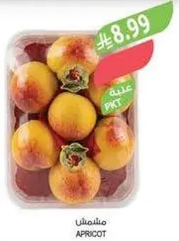 Apricot