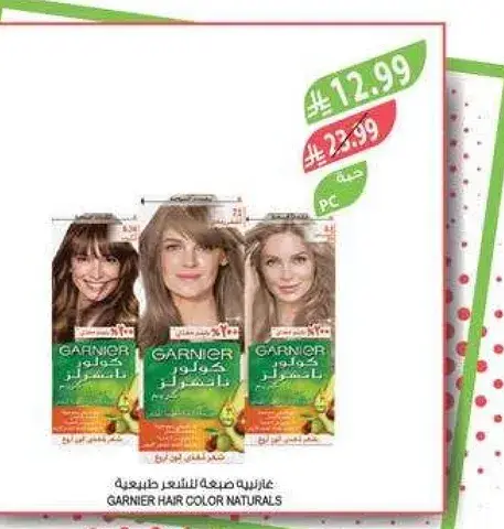 GARNIER HAIR COLOR NATURALS