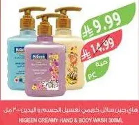 HIGEEN CREAMY HAND & BODY WASH 300ML