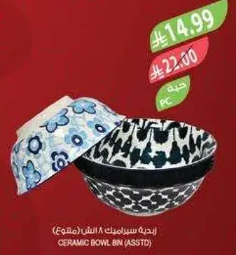 وعاء سيراميك 8 انش (متنوع).