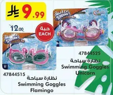 نظاره سباحه Flamingo