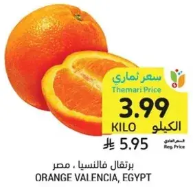 برتقال فالنسيا، مصر، الكيلو