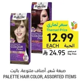 PALETTE HAIR COLOR, ASSORTED ITEMS