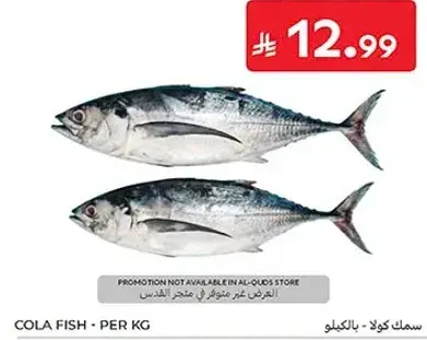 Cola fish - per kg