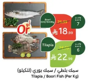 سمك بلطي / سمك بوري (للكيلو)