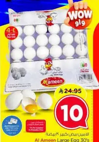 بيض كبير.. 30 بيضه