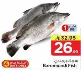 سمك برمندي