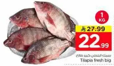 سمك بلطي كبير طازج