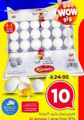 الامين بيض كبير 30 بيضه