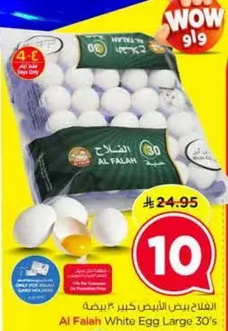 الفلاح بيض ابيض كبير 30 بيضه