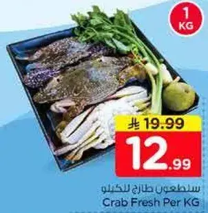سلطعون طازج للكيلو