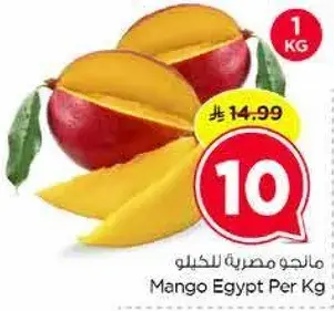 مانجو مصريه للكيلو