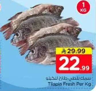 سمك بلطي طازج للكيلو