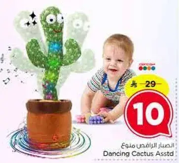 الصبار الراقص متنوع