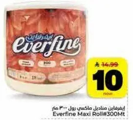 Everfine Maxi Roll 300Mt