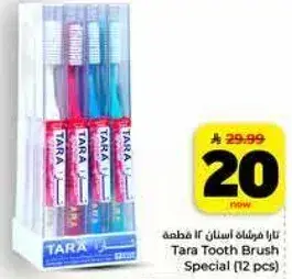 تارا فرشاه اسنان خاصه (12 قطعه)