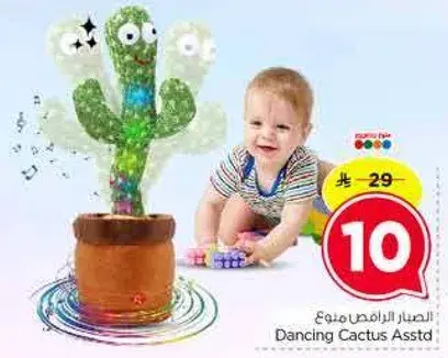الصبار الراقص متنوع