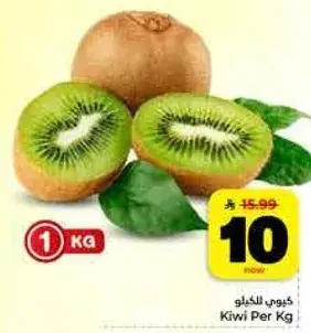 كيوي للخيلو