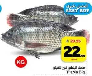 Tilapia Big Per KG