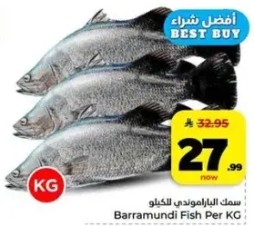 سمك الباراموندي للكليو