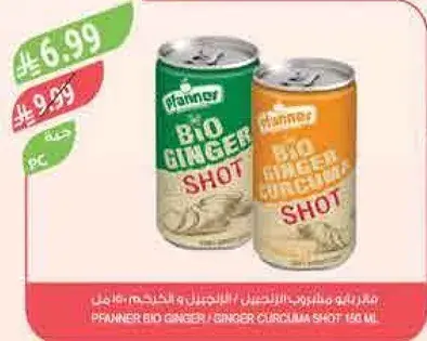PLANNER BIO GINGER / GINGER CURCUMA SHOT 140 ml