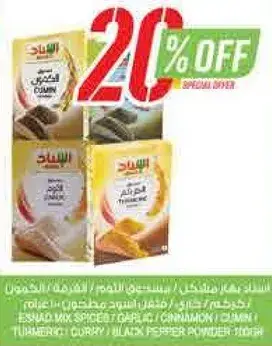 خلطه بهارات 100 جرام