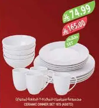 مجموعه سيراميك للمالد 16 قطعه