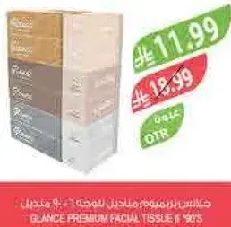 Glance Premium Facial Tissue 9s
