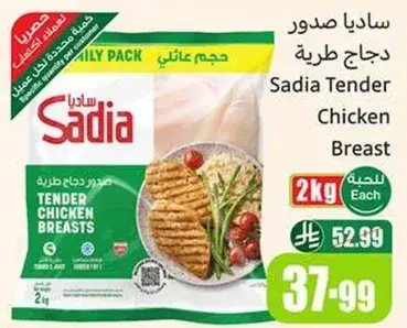 صدور دجاج ساديا