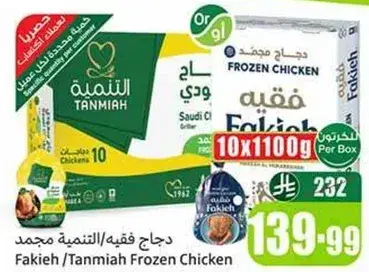 دجاج فقيه مجمد