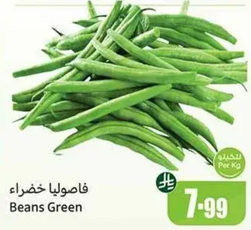 فاصوليا خضراء