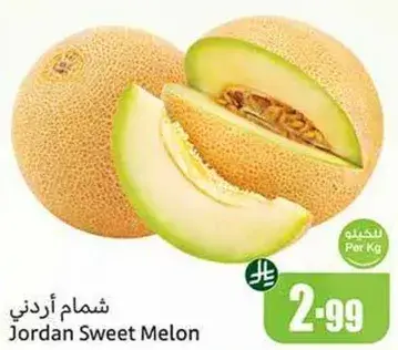 شمام اردني