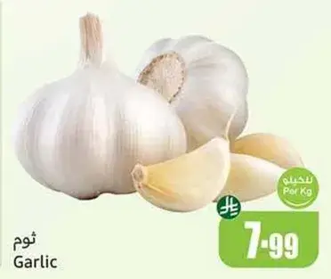 ثوم