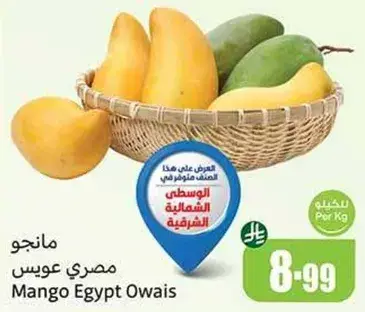 مانجو مصري عويس