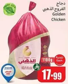 دجاج الفرخ الذهبي