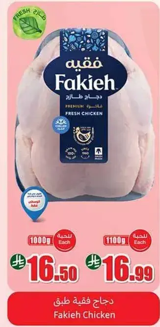 دجاج فقيه