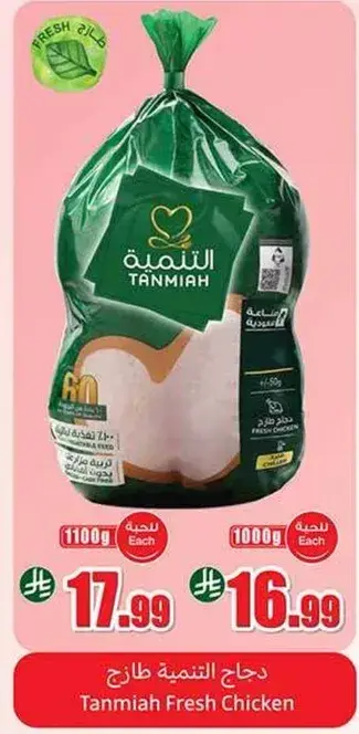 دجاج التنميه طازج