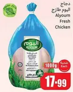 دجاج اليوم طازج