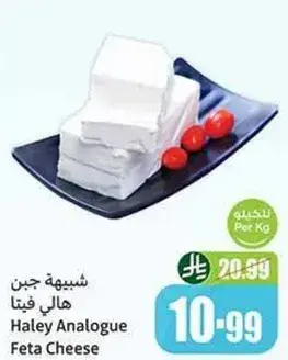 شيبه جبن هالي فيتا