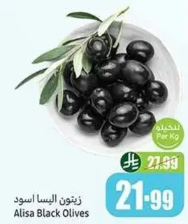 زيتون البيسا اسود
