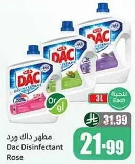 مطهر داك ورد