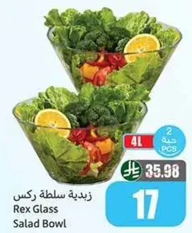 سلطه ركس