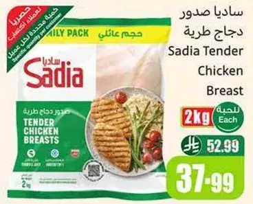 ساديا صدور دجاج طريه