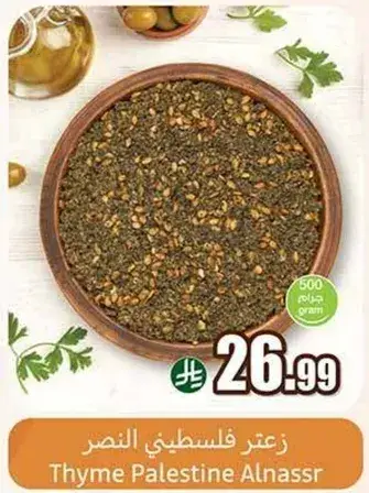 زعتر فلسطيني النصر