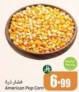 فشار ذره