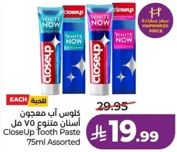 CloseUp Tooth Paste 75ml Assorted